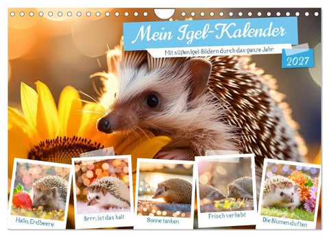 Mein Igel-Kalender (Wandkalender 2027 DIN A4 quer), CALVENDO Monatskalender