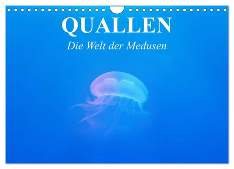 Quallen. Die Welt der Medusen (Wandkalender 2026 DIN A4 quer), CALVENDO Monatskalender