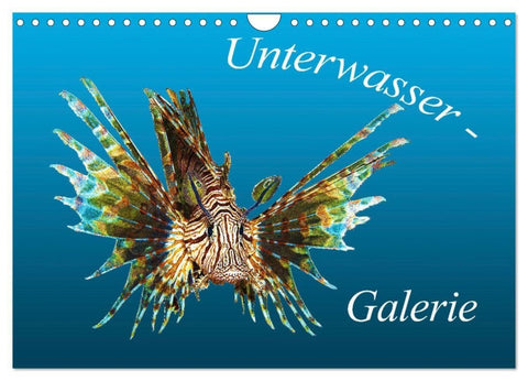 Unterwasser-Galerie (Wandkalender 2027 DIN A4 quer), CALVENDO Monatskalender