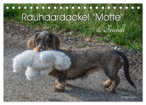 Rauhaardackel Motte & Friends (Tischkalender 2027 DIN A5 quer), CALVENDO Monatskalender