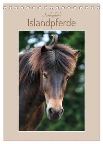 Farbenfrohe Islandpferde (Tischkalender 2026 DIN A5 hoch), CALVENDO Monatskalender