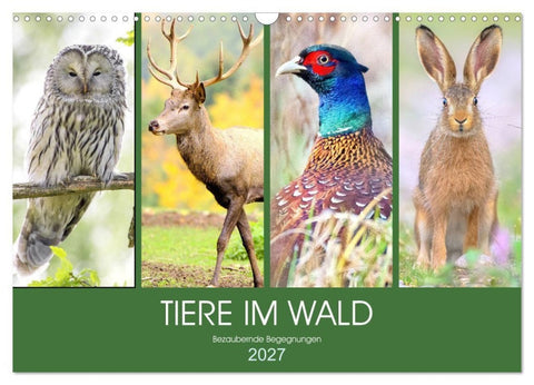 Tiere im Wald. Bezaubernde Begegnungen (Wandkalender 2027 DIN A3 quer), CALVENDO Monatskalender