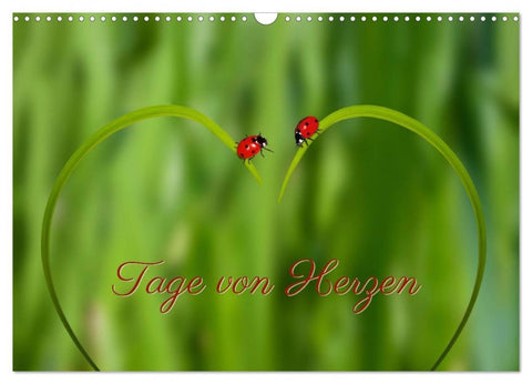 Tage von Herzen (Wandkalender 2026 DIN A3 quer), CALVENDO Monatskalender