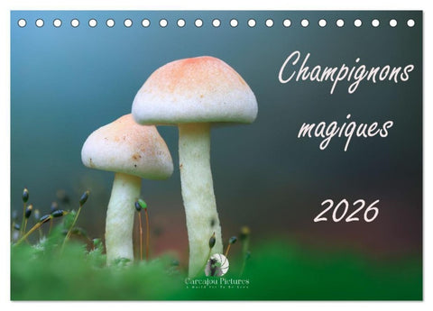 Champignons magiques (Calendrier de bureau 2027 DIN A5 vertical), CALVENDO calendrier mensuel