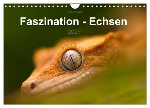 Faszination - Echsen (Wandkalender 2027 DIN A4 quer), CALVENDO Monatskalender