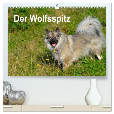 Der Wolfsspitz (hochwertiger Premium Wandkalender 2027 DIN A2 quer), Kunstdruck in Hochglanz
