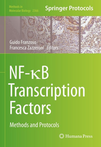 NF-κB Transcription Factors
