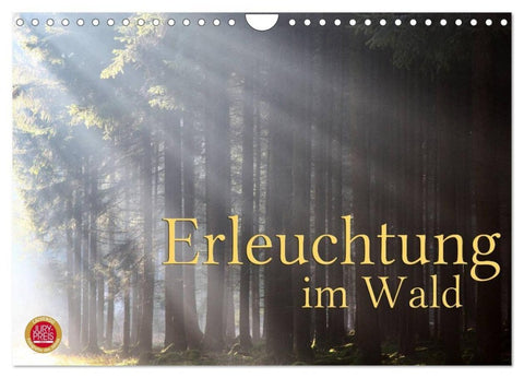 Erleuchtung im Wald (Wandkalender 2027 DIN A4 quer), CALVENDO Monatskalender