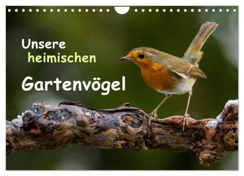 Unsere heimischen Gartenvögel (Wandkalender 2027 DIN A4 quer), CALVENDO Monatskalender