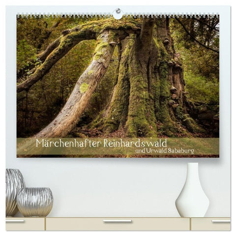 Märchenhafter Reinhardswald und Urwald Sababurg (hochwertiger Premium Wandkalender 2027 DIN A2 quer), Kunstdruck in Hochglanz
