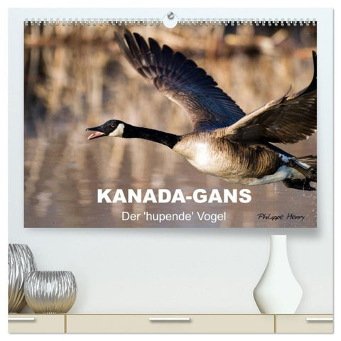 KANADA-GANS - Der 'hupende' Vogel (hochwertiger Premium Wandkalender 2027 DIN A2 quer), Kunstdruck in Hochglanz