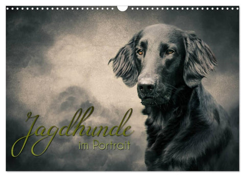 Jagdhunde im Portrait (Wandkalender 2026 DIN A3 quer), CALVENDO Monatskalender
