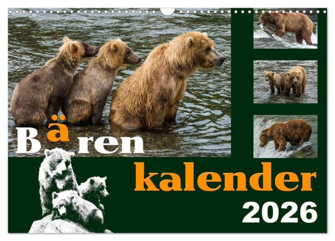 Bärenkalender (Wandkalender 2026 DIN A3 quer), CALVENDO Monatskalender