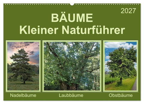 Bäume Kleiner Naturführer (Wandkalender 2027 DIN A2 quer), CALVENDO Monatskalender