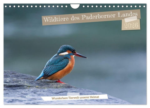 Wildtiere des Paderborner Landes (Wandkalender 2026 DIN A4 quer), CALVENDO Monatskalender