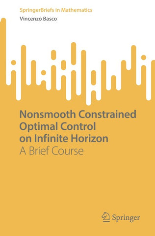 Nonsmooth Constrained Optimal Control on Infinite Horizon