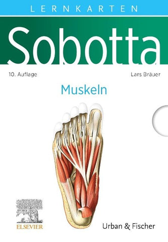 Sobotta Lernkarten Anatomie: Muskeln
