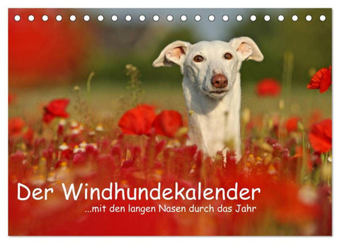 Der Windhundekalender (Tischkalender 2026 DIN A5 quer), CALVENDO Monatskalender
