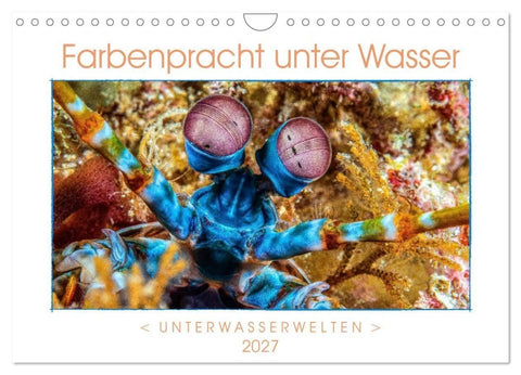 Farbenpracht unter Wasser (Wandkalender 2027 DIN A4 quer), CALVENDO Monatskalender