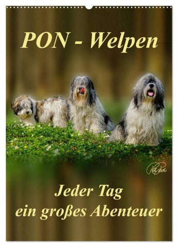 PON-Welpen - jeder Tag ein großes Abenteuer / Planer (Wandkalender 2027 DIN A2 hoch), CALVENDO Monatskalender