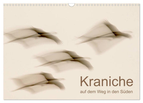 Kraniche auf dem Weg nach Süden (Wandkalender 2026 DIN A3 quer), CALVENDO Monatskalender