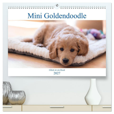 Mini Goldendoodle - Glück ist ein Hund (hochwertiger Premium Wandkalender 2027 DIN A2 quer), Kunstdruck in Hochglanz