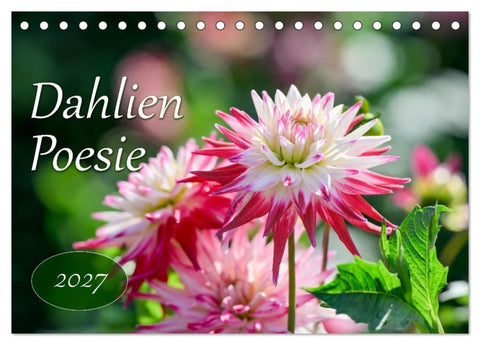 Dahlien Poesie (Tischkalender 2027 DIN A5 quer), CALVENDO Monatskalender