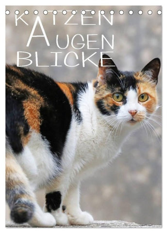 KATZEN AUGEN BLICKE (Tischkalender 2027 DIN A5 hoch), CALVENDO Monatskalender