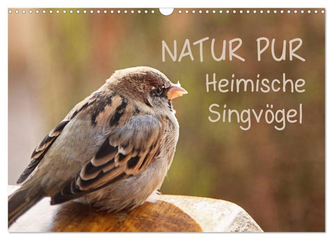 NATUR PUR Heimische Singvögel (Wandkalender 2026 DIN A3 quer), CALVENDO Monatskalender