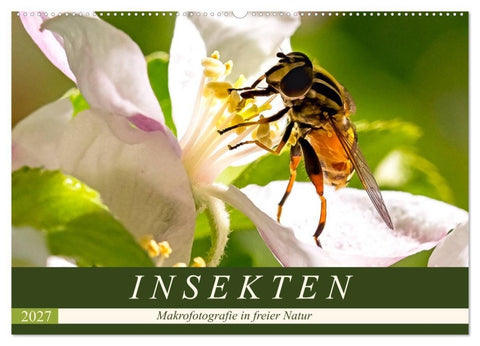 INSEKTEN - Makrofotografie in freier Natur (Wandkalender 2027 DIN A2 quer), CALVENDO Monatskalender