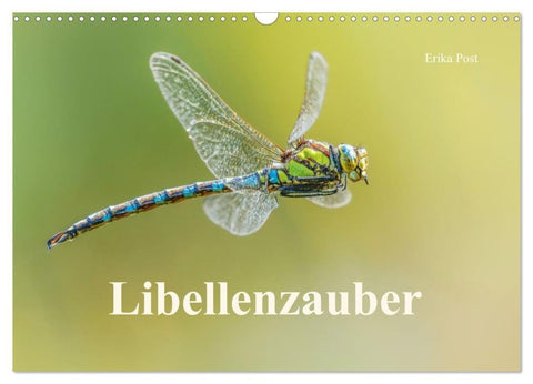 Libellenzauber (Wandkalender 2027 DIN A3 quer), CALVENDO Monatskalender
