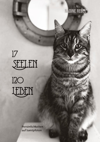 17 Seelen - 120 Leben