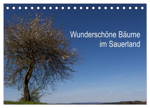 Wunderschöne Bäume im Sauerland (Tischkalender 2027 DIN A5 quer), CALVENDO Monatskalender