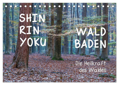 Shinrin yoku - Waldbaden 2027 (Tischkalender 2027 DIN A5 quer), CALVENDO Monatskalender