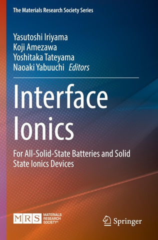Interface Ionics