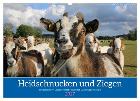 Heidschnucken und Ziegen die tierischen Landschaftspfleger der Lüneburger Heide (Wandkalender 2027 DIN A2 quer), CALVENDO Monatskalender