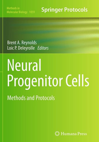 Neural Progenitor Cells