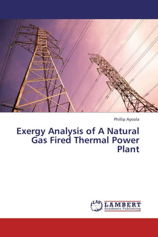 Exergy Analysis of A Natural Gas Fired Thermal Power Plant