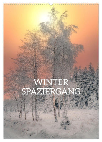 Winter Spaziergang (Wandkalender 2027 DIN A2 hoch), CALVENDO Monatskalender