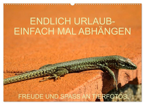 Freude und Spaß an Tierfotos (Wandkalender 2027 DIN A2 quer), CALVENDO Monatskalender