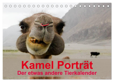 Kamel Porträt (Tischkalender 2027 DIN A5 quer), CALVENDO Monatskalender