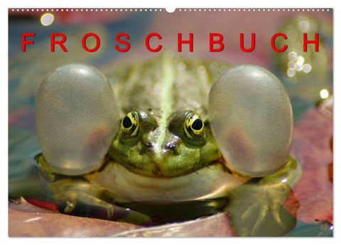 FROSCHBUCH (Wandkalender 2027 DIN A2 quer), CALVENDO Monatskalender