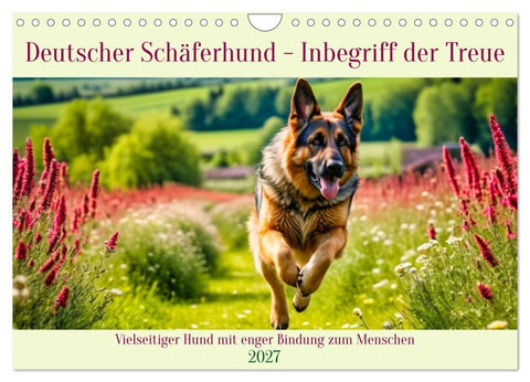 Deutscher Schäferhund - Inbegriff der Treue (Wandkalender 2027 DIN A4 quer), CALVENDO Monatskalender