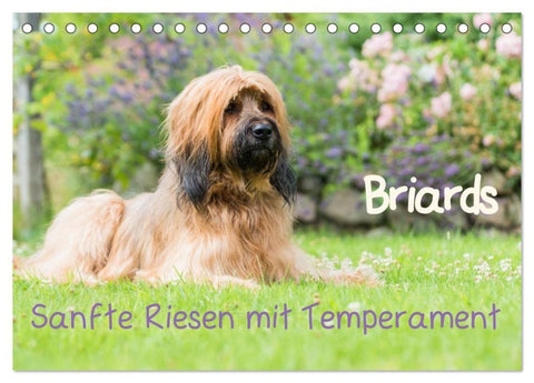 Briards - sanfte Riesen mit Temperament (Tischkalender 2027 DIN A5 quer), CALVENDO Monatskalender