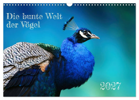 Die bunte Welt der Vögel (Wandkalender 2027 DIN A3 quer), CALVENDO Monatskalender
