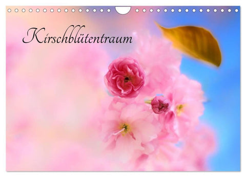 Kirschblütentraum (Wandkalender 2026 DIN A4 quer), CALVENDO Monatskalender
