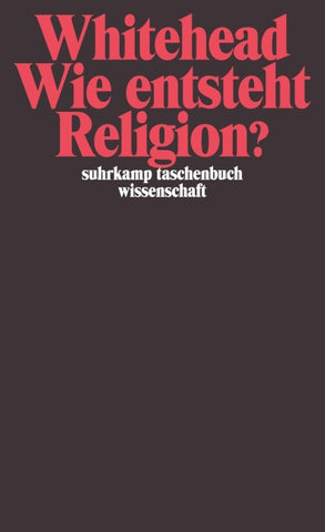 Wie entsteht Religion?