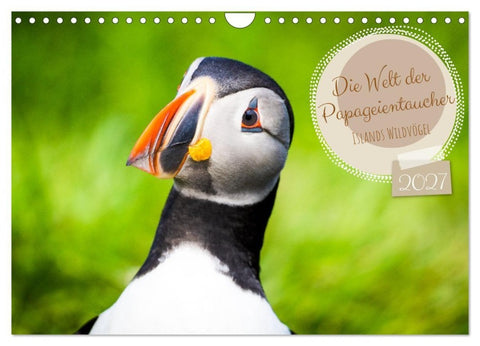 Die Welt der Papageientaucher - Islands Wildvögel (Wandkalender 2027 DIN A4 quer), CALVENDO Monatskalender