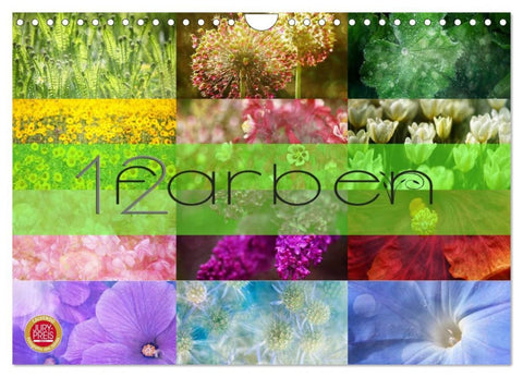 12 Farben (Wandkalender 2026 DIN A4 quer), CALVENDO Monatskalender