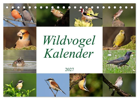 Wildvogelkalender (Tischkalender 2027 DIN A5 quer), CALVENDO Monatskalender